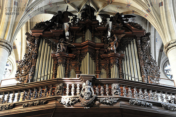 Orgel  Heilig-Kreuz-Münster  Baubeginn um 1315  Schwäbisch Gmünd  Baden-Württemberg  Deutschland  Europa
