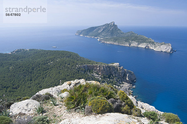 Blick auf die Insel Dragonera  Mallorca  Spanien  Europa