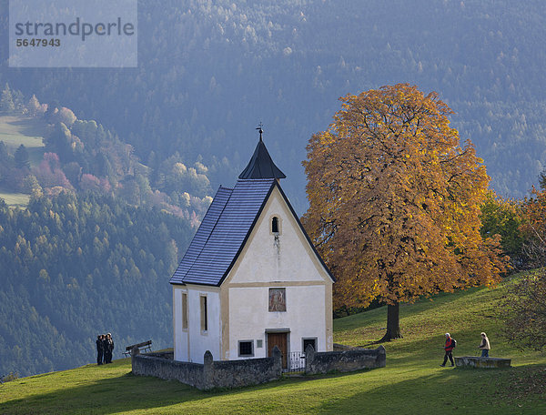 Kapelle St Katharina beim Bauernhof Moar zu Viersch  Klausen  Südtirol  Italien  Europa