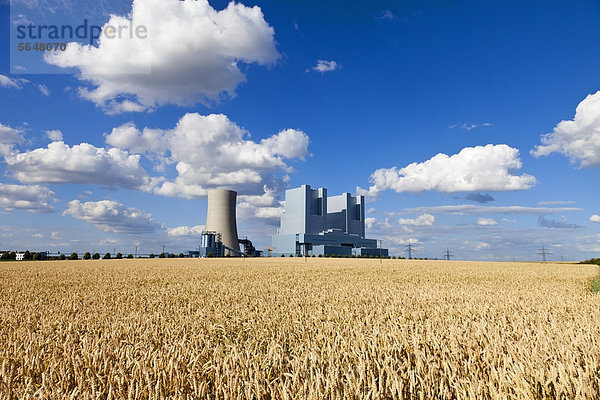 Europa  Deutschland  Nordrhein-Westfalen  Blick auf Kohlekraftwerk mit Maisfeld