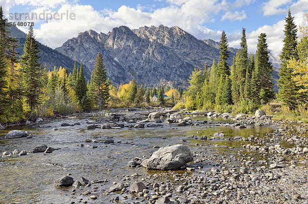 Cottonwood Creek mit Rockchuck Peak  Grand Teton National Park  Wyoming  USA