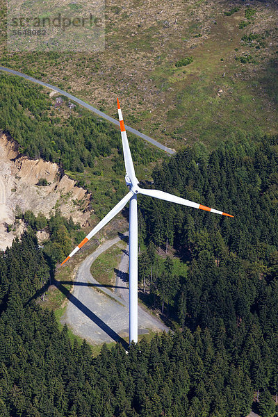 Europa  Deutschland  Nordrhein-Westfalen  Blick auf Windmühle im Wald