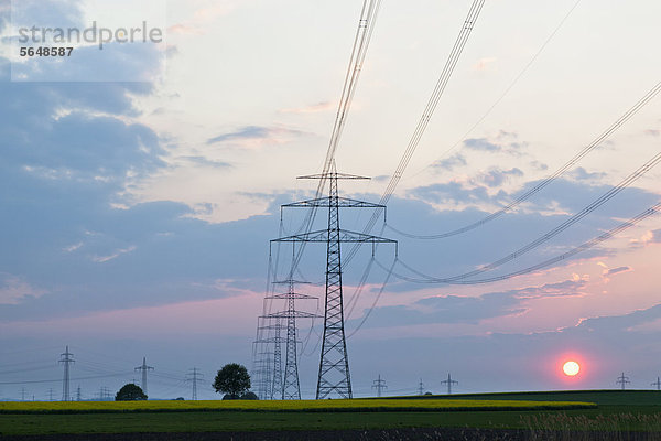 Deutschland  Bayern  Blick auf Strommast im Rapsfeld bei Sonnenuntergang