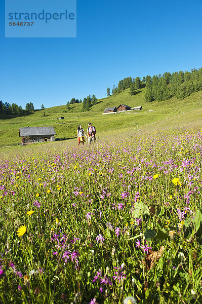 Österreich  Salzburg  Pärchenwanderung über Almen