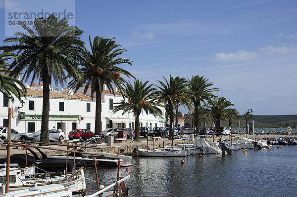 Hafen Europa Baum Boot angeln Menorca Balearen Balearische Inseln Mittelmeer Spanien