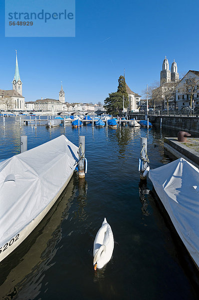 Boote auf der Limmat  Zürcher Altstadt mit Johanneskirche  St. Peter und Grossmünster  Limmatquai  Zürich  Schweiz  Europa