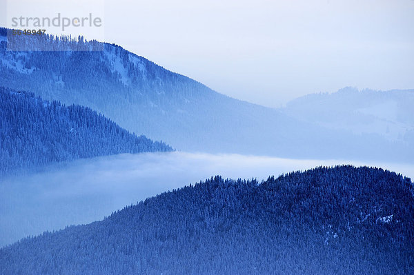 Berggipfel mit Nebelmeer bei Sonnuntergang  Pfronten  Allgäu  Bayern  Deutschland  Europa