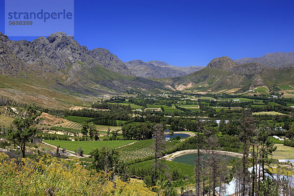 Franschhoek  Weinanbaugebiet  Kapregion  Westkap  Südafrika  Afrika