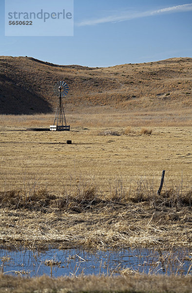 Windrad in den Nebraska Sand Hills  Prärie-Region überhalb des Ogallala Aquifers  Merriman  Nebraska  USA