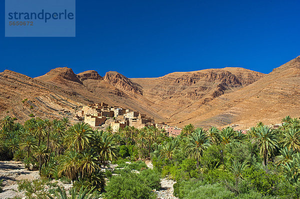 Berg Landschaft klein Tal frontal Dorf rot Afrika Lehm Hain Marokko