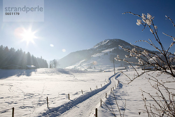 Verschneite Landschaft  Kirchberg  Tirol  Österreich