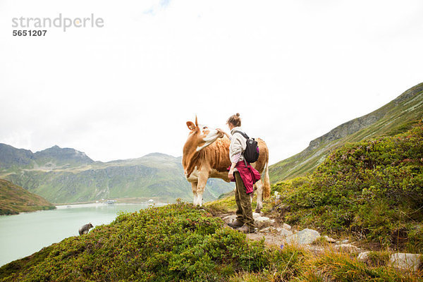 Frau streicheln einer Kuh  Alpen  Tirol  Österreich