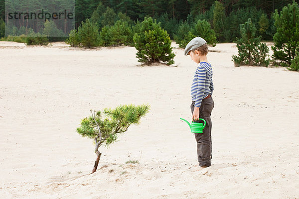 Junge mit Gießkanne  Blick auf Pflanze im Sand