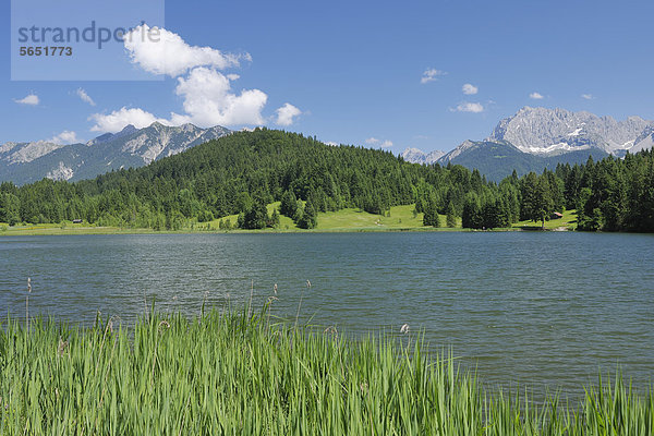 Deutschland  Bayern  Oberbayern  Blick vom Geroldsee auf das Karwendelgebirge