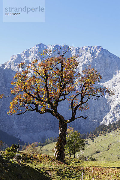 Österreich  Tirol  Blick auf das Karwendelgebirge im Herbst