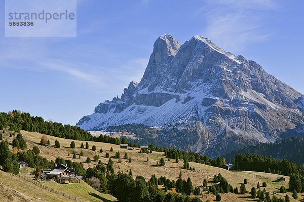 Peitlerkofel  Sas de Pütia  2875 m  vom Almboden bei der Schatzerhütte  Südtirol  Italien  Europa