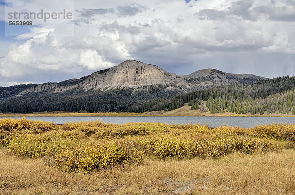 Brooks Lake  Shoshone Wilderness Area  Wyoming  USA