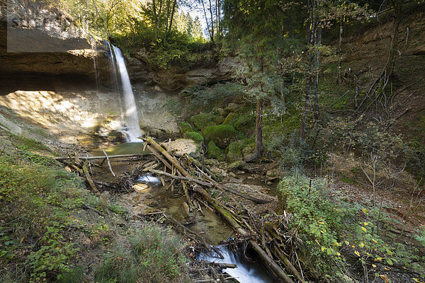 Die Scheidegger Wasserfälle  Scheidegg  Westallgäu  Allgäu  Schwaben  Bayern  Deutschland  Europa