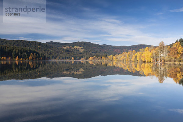 Herbstbäume spiegeln sich im Schluchsee  Breisgau-Hochschwarzwald  Baden-Württemberg  Deutschland  Europa