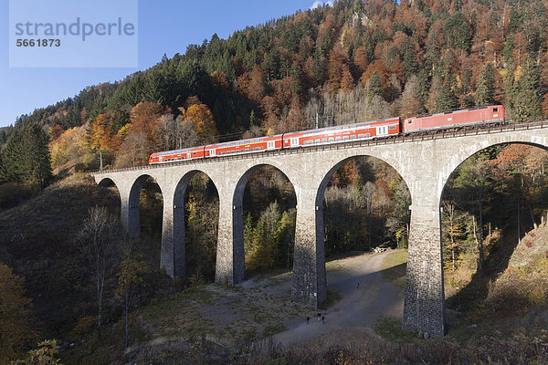 Ravennabrücke der Höllentalbahn im Herbst mit überfahrendem Zug  Höllental  Breisgau-Hochschwarzwald  Baden-Württemberg  Deutschland  Europa