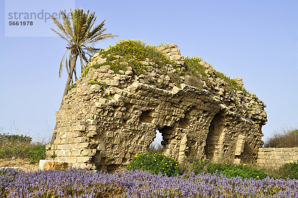 Archäologische Ausgrabung  antike Stadt Caesarea oder Caesarea Maritima  Israel  Naher Osten  Vorderasien