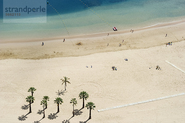 Vogelperspektive  Palmen und Strand  Playa de las Teresitas  San AndrÈs  Teneriffa  Kanarische Inseln  Spanien  Europa