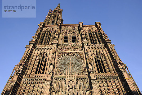 Westfassade  Straßburger Münster  Liebfrauenmünster  CathÈdrale Notre-Dame  Kathedrale  Strasbourg  Straßburg  Bas-Rhin  Elsaß  Elsass  Frankreich  Europa  ÖffentlicherGrund