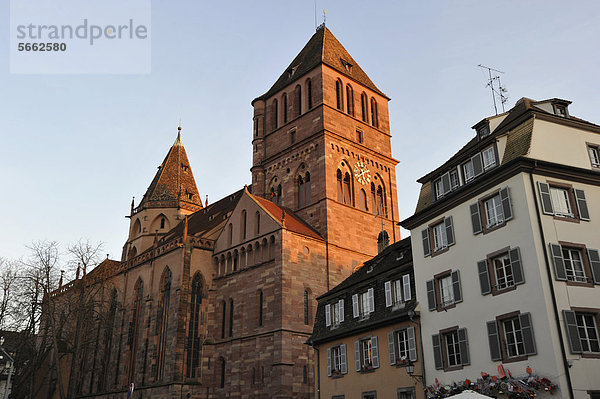 Nordfront Pfarrkirche …glise Saint-Thomas des Strasbourg  Strasbourg  Straßburg  Bas-Rhin  Elsaß  Elsass  Frankreich  Europa  ÖffentlicherGrund