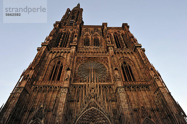 Straßburger Münster  Liebfrauenmünster  CathÈdrale Notre-Dame  Kathedrale  Strasbourg  Straßburg  Bas-Rhin  Elsaß  Elsass  Frankreich  Europa  ÖffentlicherGrund