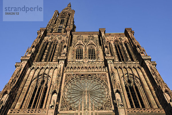 Westfassade  Straßburger Münster  Liebfrauenmünster  CathÈdrale Notre-Dame  Kathedrale  Strasbourg  Straßburg  Bas-Rhin  Elsaß  Elsass  Frankreich  Europa