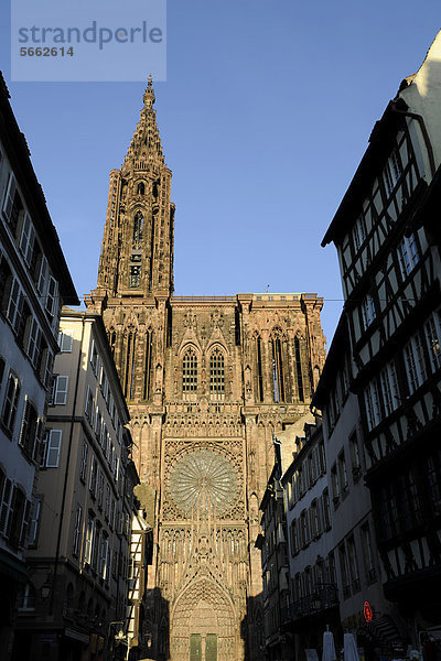 Hauptportal  Westfassade  Straßburger Münster  Liebfrauenmünster  CathÈdrale Notre-Dame  Kathedrale  Strasbourg  Straßburg  Bas-Rhin  Elsaß  Elsass  Frankreich  Europa  ÖffentlicherGrund
