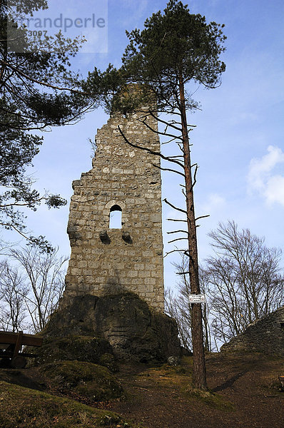 Burgruine Wildenfels aus dem 13. Jhd.  Wildenfels  Oberfranken  Bayern  Deutschland  Europa