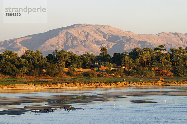 Sonnenuntergang am Nil  Ägypten  Afrika