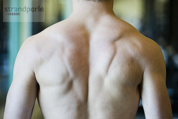 Rücken des muskulösen Mannes  Rückansicht