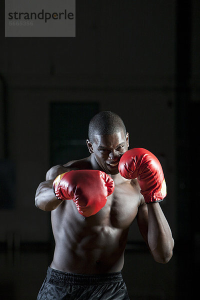 Boxer mit Boxhandschuhen in Kampfstellung  Portrait
