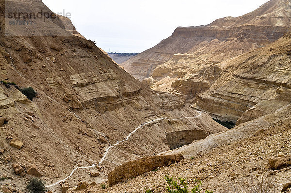 Wanderweg  Nahal Arugot  En Gedi oder Ein Gedi Nautrreservat  Negev Wüste  Israel  Naher Osten  Vorderasien