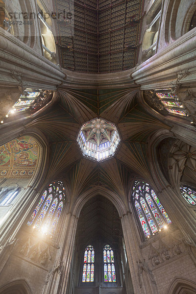 Kathedrale von Ely  Ely  Cambridgeshire  England  Großbritannien  Europa