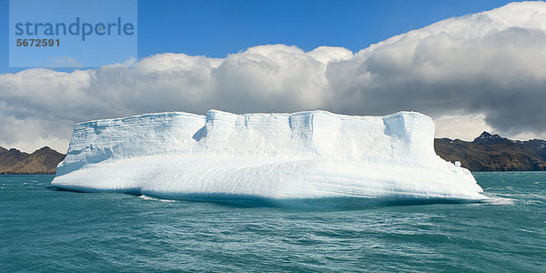 Eisberg am Eingang des King Edward Cove Seitenarms  Grytviken  Bucht Cumberland Bay  Südgeorgien  Antarktis