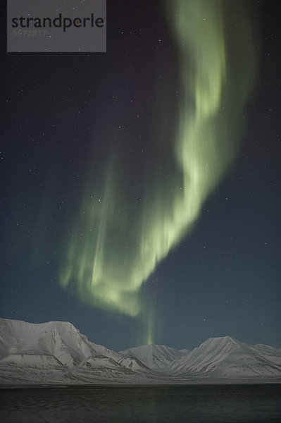 Grüne Nordlichter  Polarlichter  Aurora borealis über der vom Halbmond erhellten Bergkulisse bei Longyearbyen  Spitzbergen  Svalbard  Norwegen  Europa