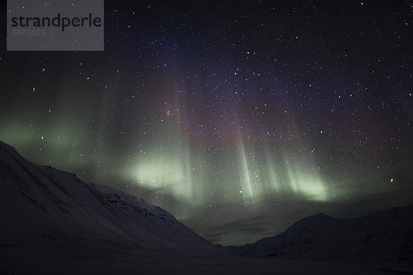 Polarnacht  grüne Nordlichter über dem Tal Todalen am sternenreichen Himmel einer Neumondnacht  Longyearbyen  Spitzbergen  Svalbard  Norwegen  Europa