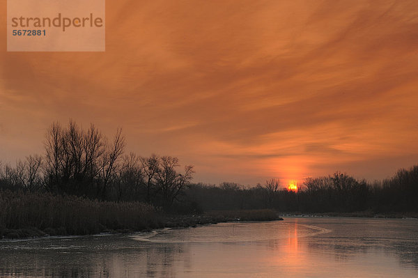 Aulandschaft  Sonnenaufgang  Winter  Nationalpark Donauauen  Niederösterreich  Österreich  Europa