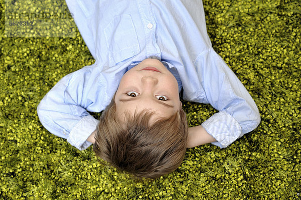 Junge  4 Jahre  liegt auf einem grünen Teppich