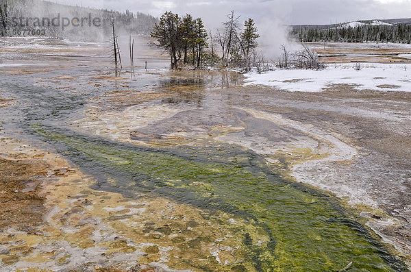 Biscuit Basin  Yellowstone National Park  Wyoming  USA