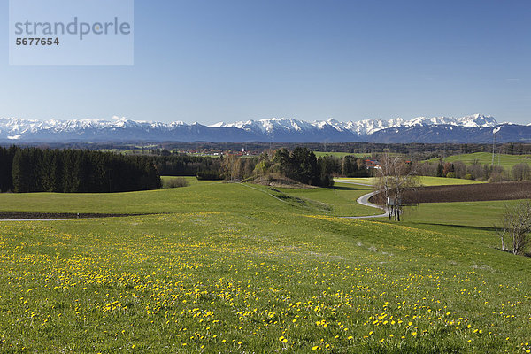 Alpenvorland mit Diemendorf  Gemeinde Tutzing  hinten rechts Zugspitze  Fünfseenland  Oberbayern  Bayern  Deutschland  Europa