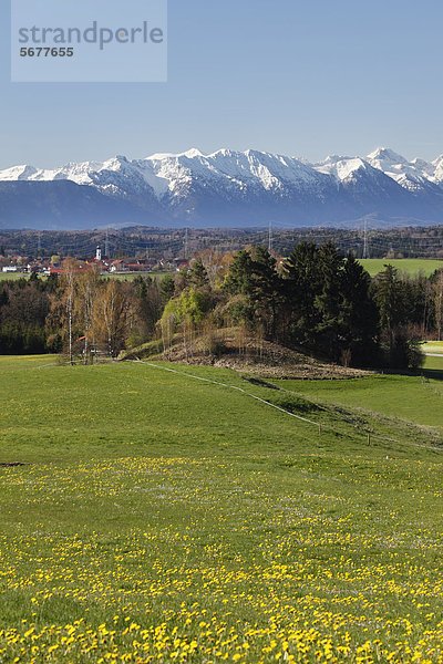 Alpenvorland mit Diemendorf  Gemeinde Tutzing  Fünfseenland  Oberbayern  Bayern  Deutschland  Europa