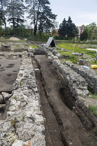 Ausgrabungen in der römischen Stadt Carnuntum  Freilichtmuseum Petronell  Archäologischer Park Carnuntum  Niederösterreich  Österreich  Europa