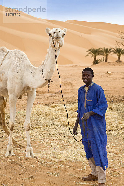 Tuareg mit Dromedar (Camelus dromedarius) bei Germa  Libyen  Sahara  Nordafrika  Afrika