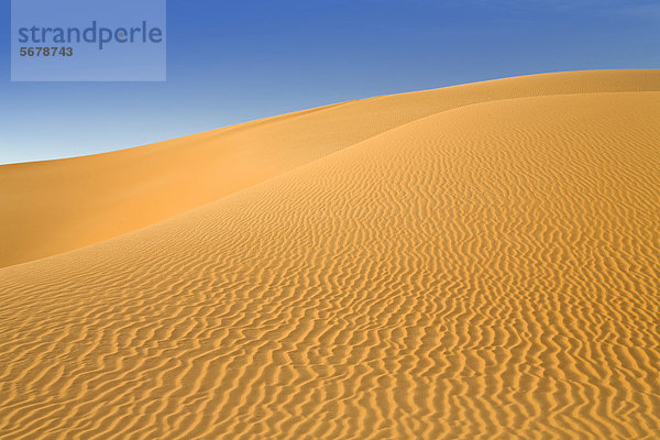 Wellenmuster  Strukturen in den Sanddünen der libysche Wüste  Sahara  Libyen  Nordafrika