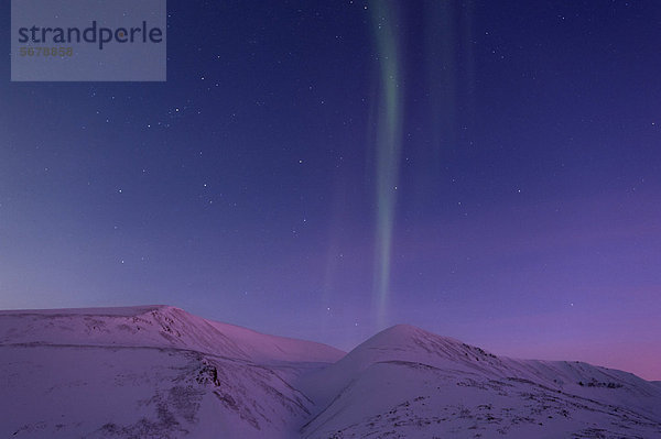 Nordlichter  Polarnacht  Spitzbergen  Svalbard  Norwegen  Europa