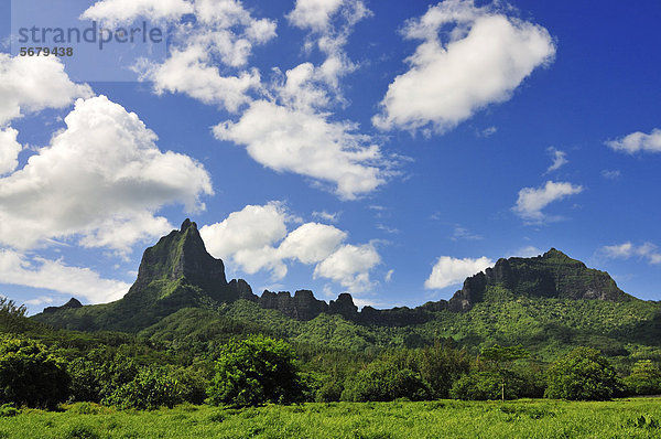 Mount Tohiea  Valle de Gauguin  Moorea  Inseln unter dem Wind  Gesellschaftsinseln  Französisch-Polynesien  Pazifischer Ozean